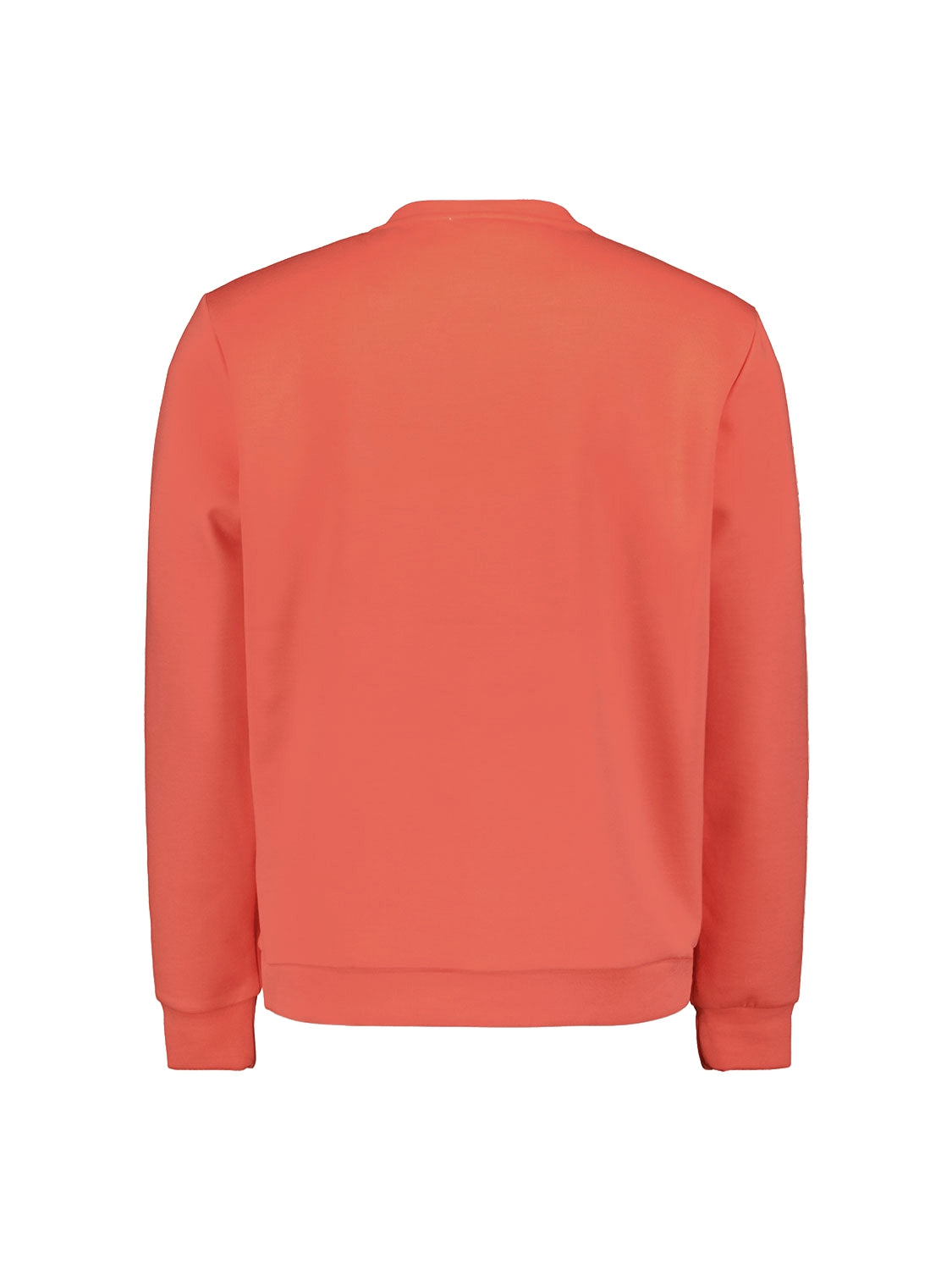 Sweater Crewneck | Melon