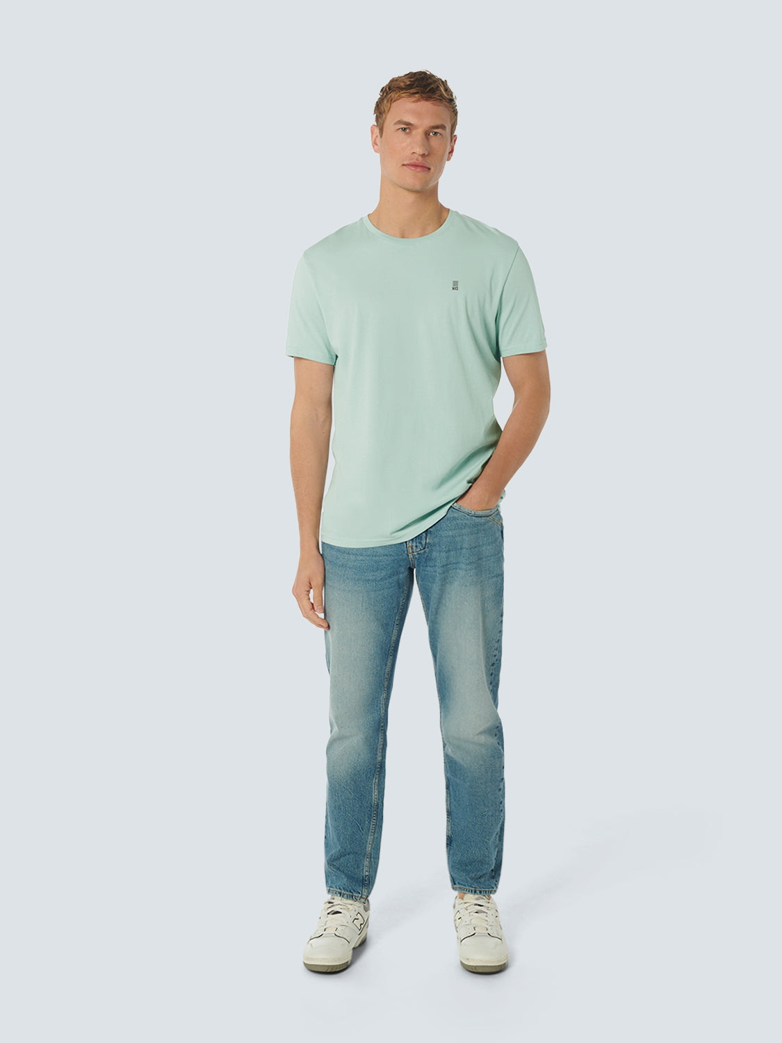T-Shirt Crewneck Solid Basic | Mint
