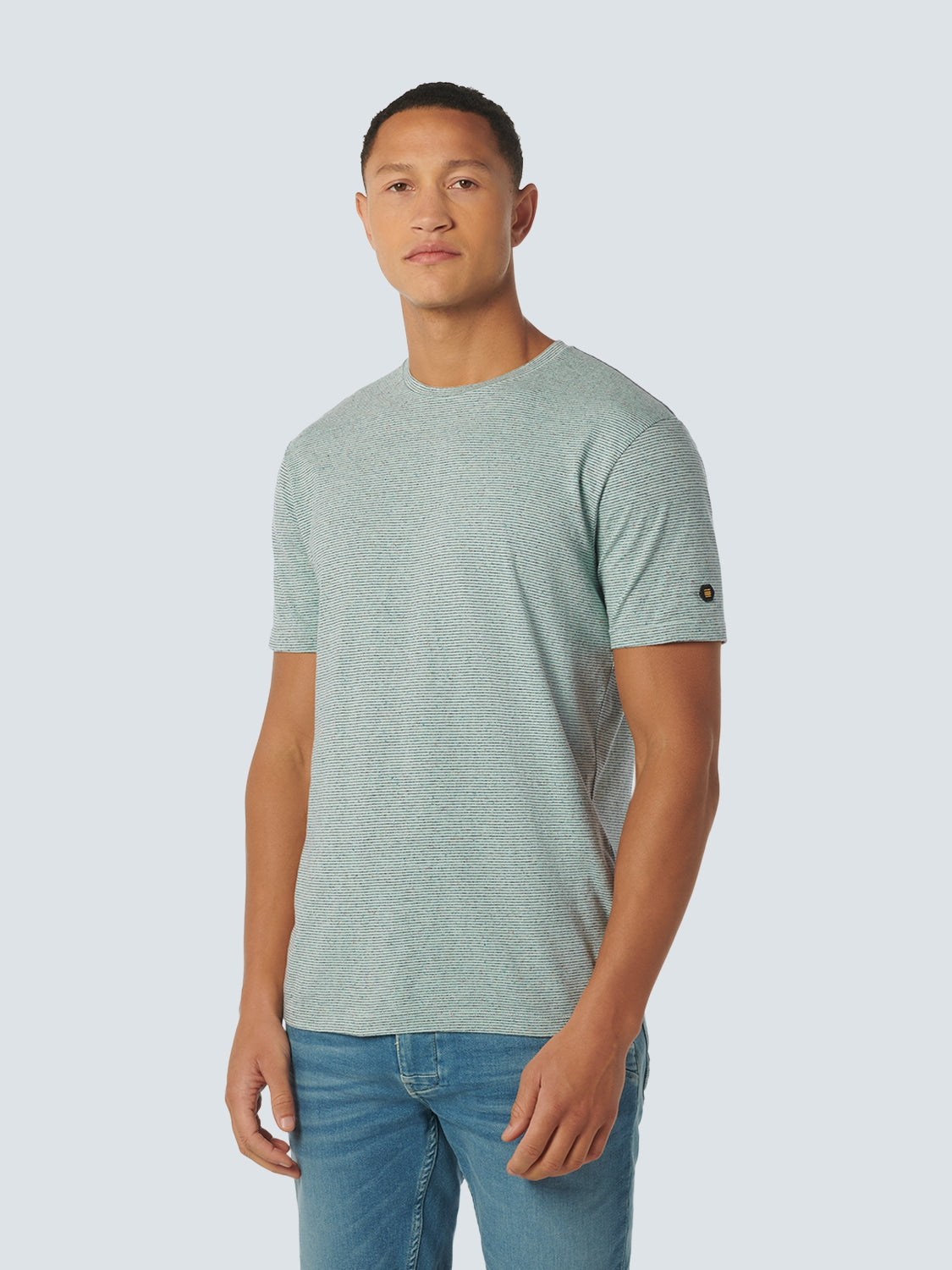 T-Shirt Crewneck Melange With Stripes | Mint