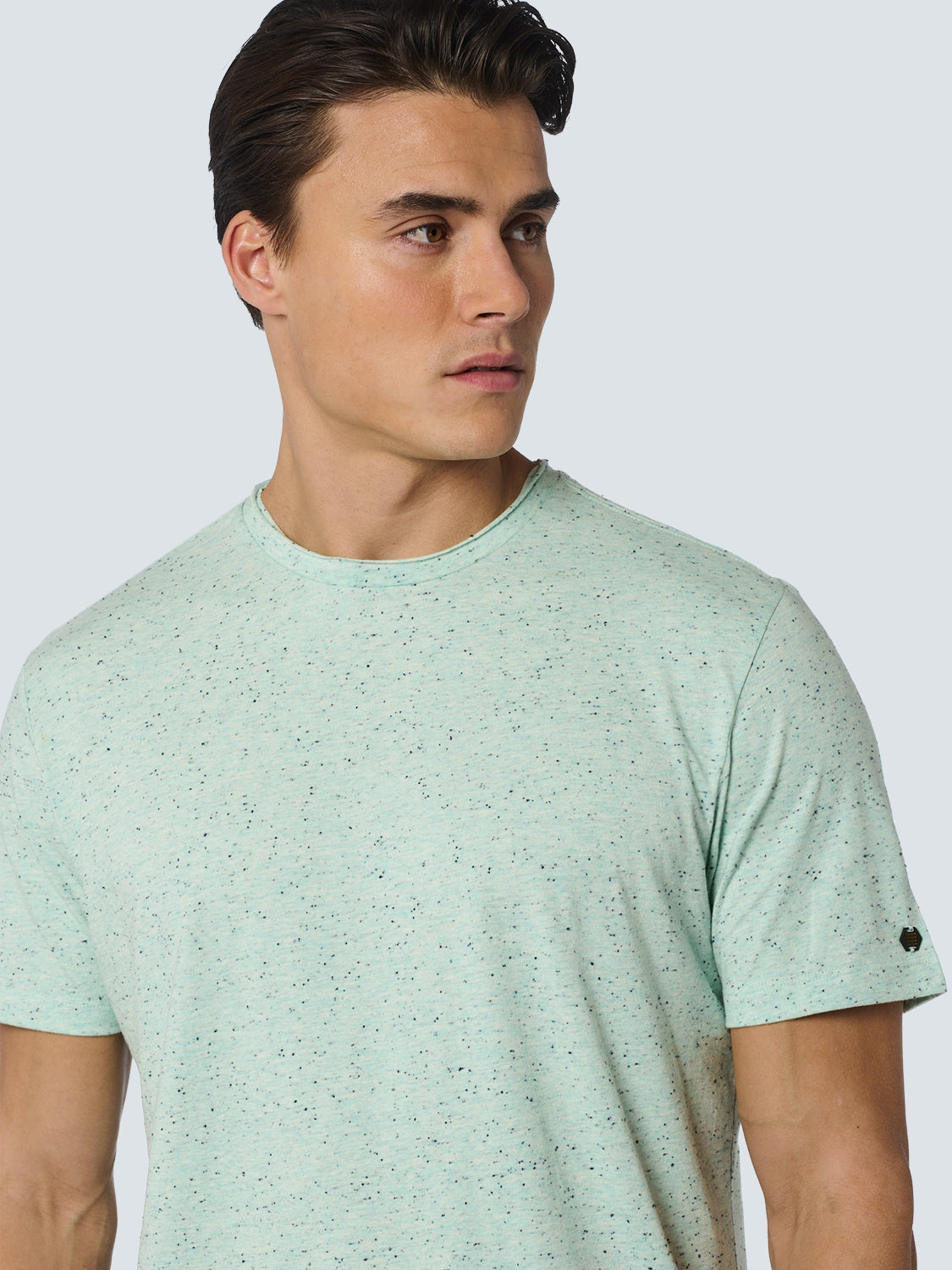 T-Shirt Crewneck Melange | Mint