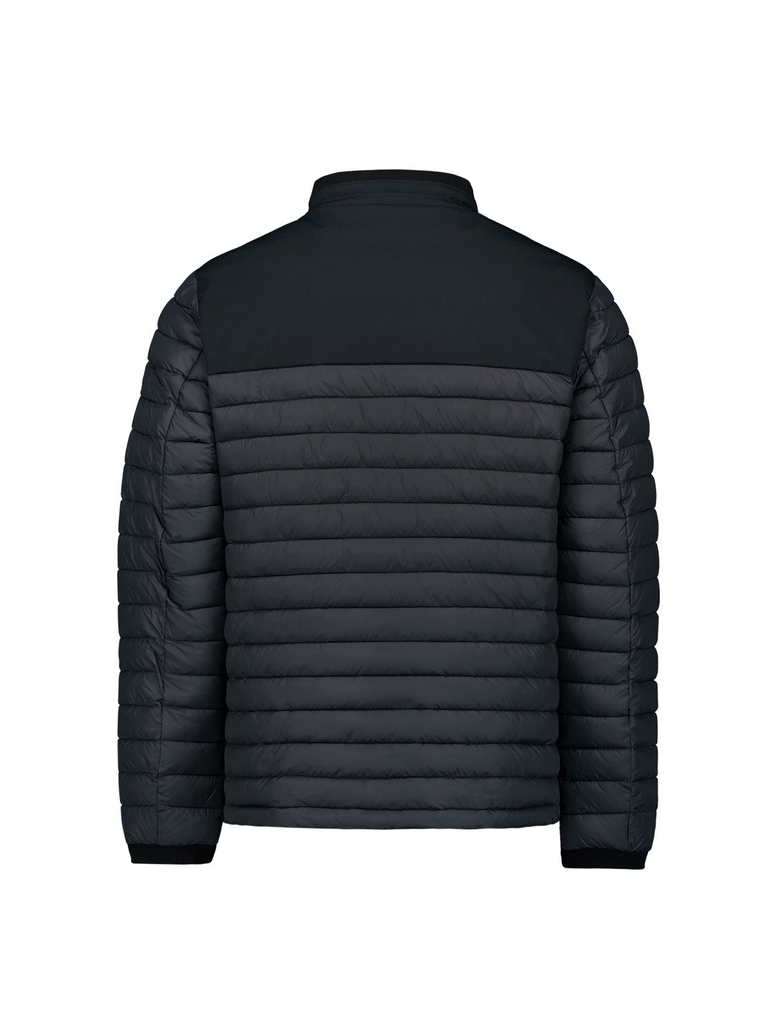 Jacket Short Fit Padded | Night
