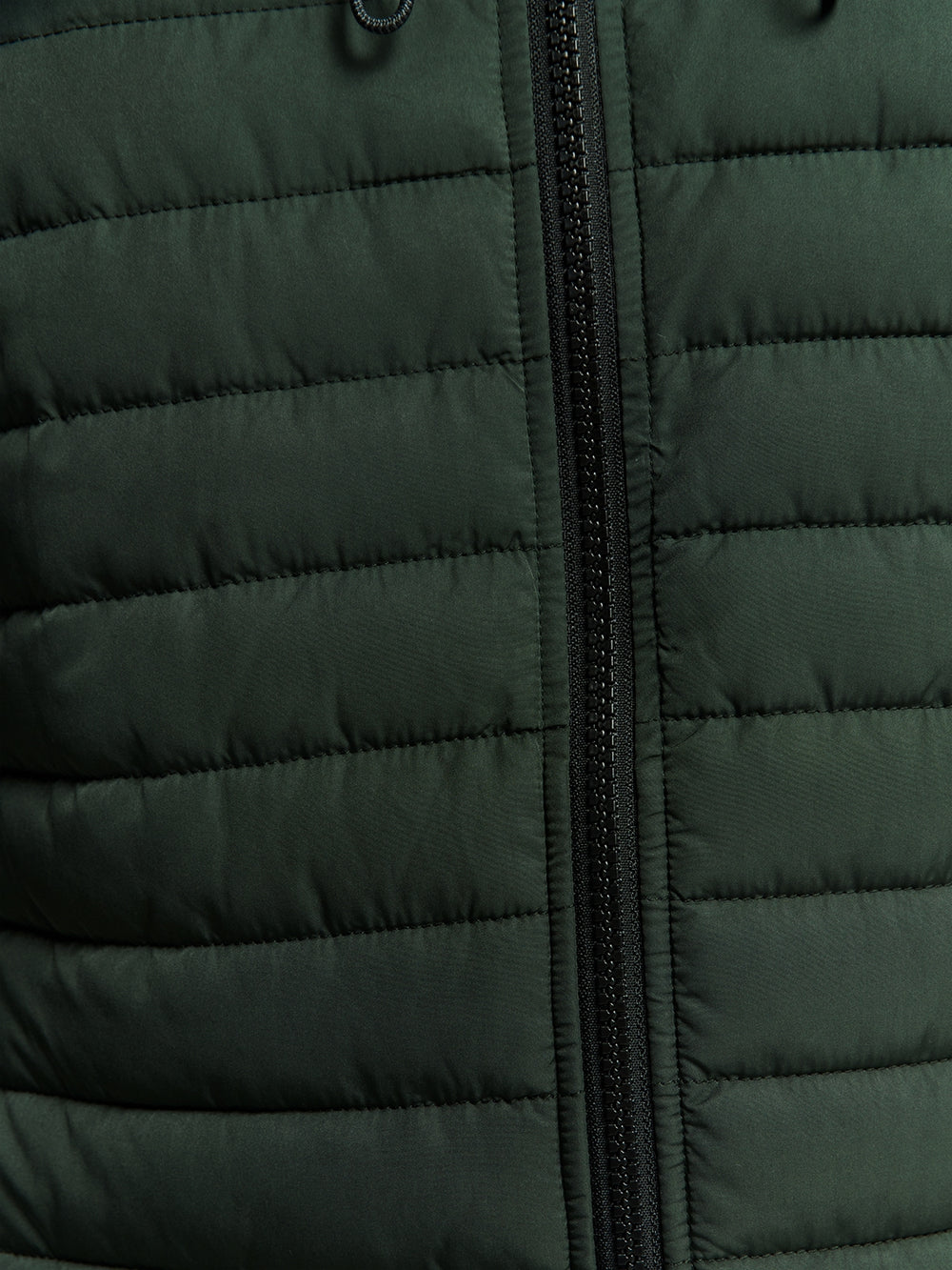Lightweight Quilted Jacket with Hood and Adjustable