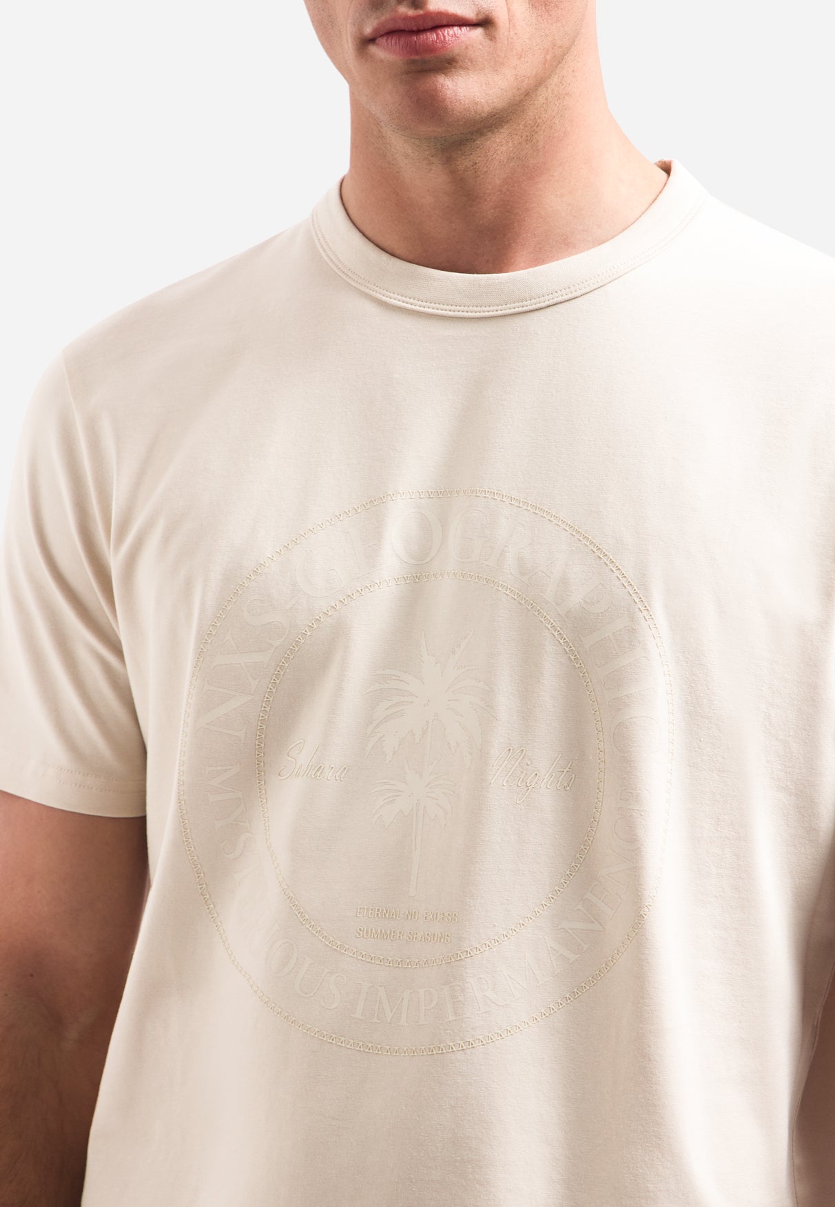 hort-sleeve crewneck T-shirt with print | Stone