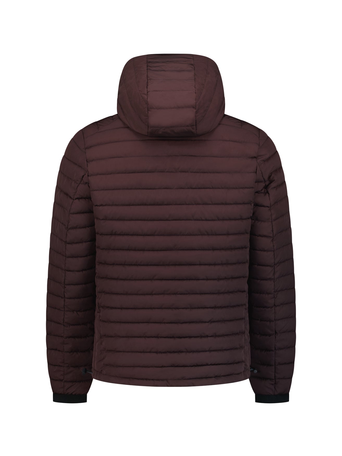 Hooded Padded Jacket | Dark Brown