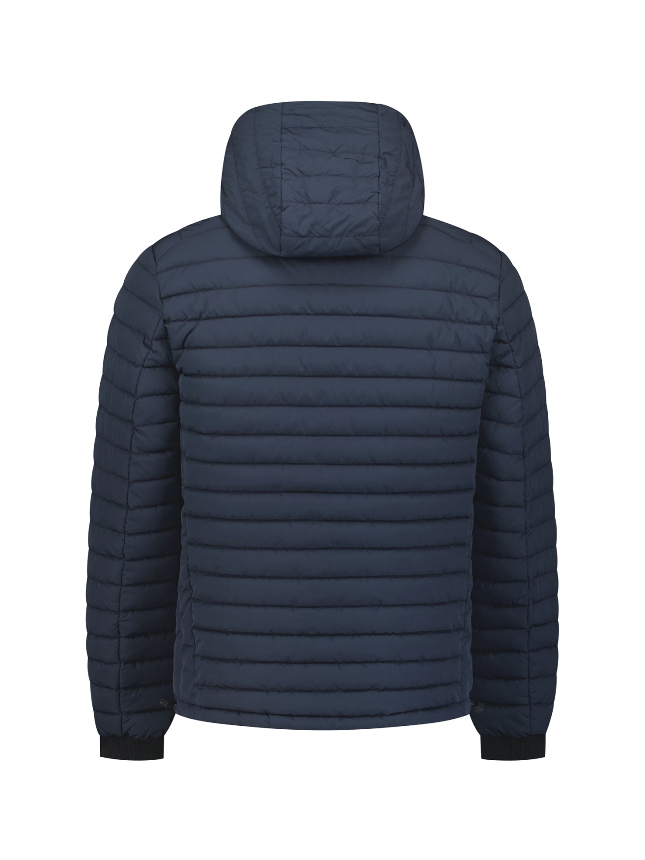 Hooded Padded Jacket | Night